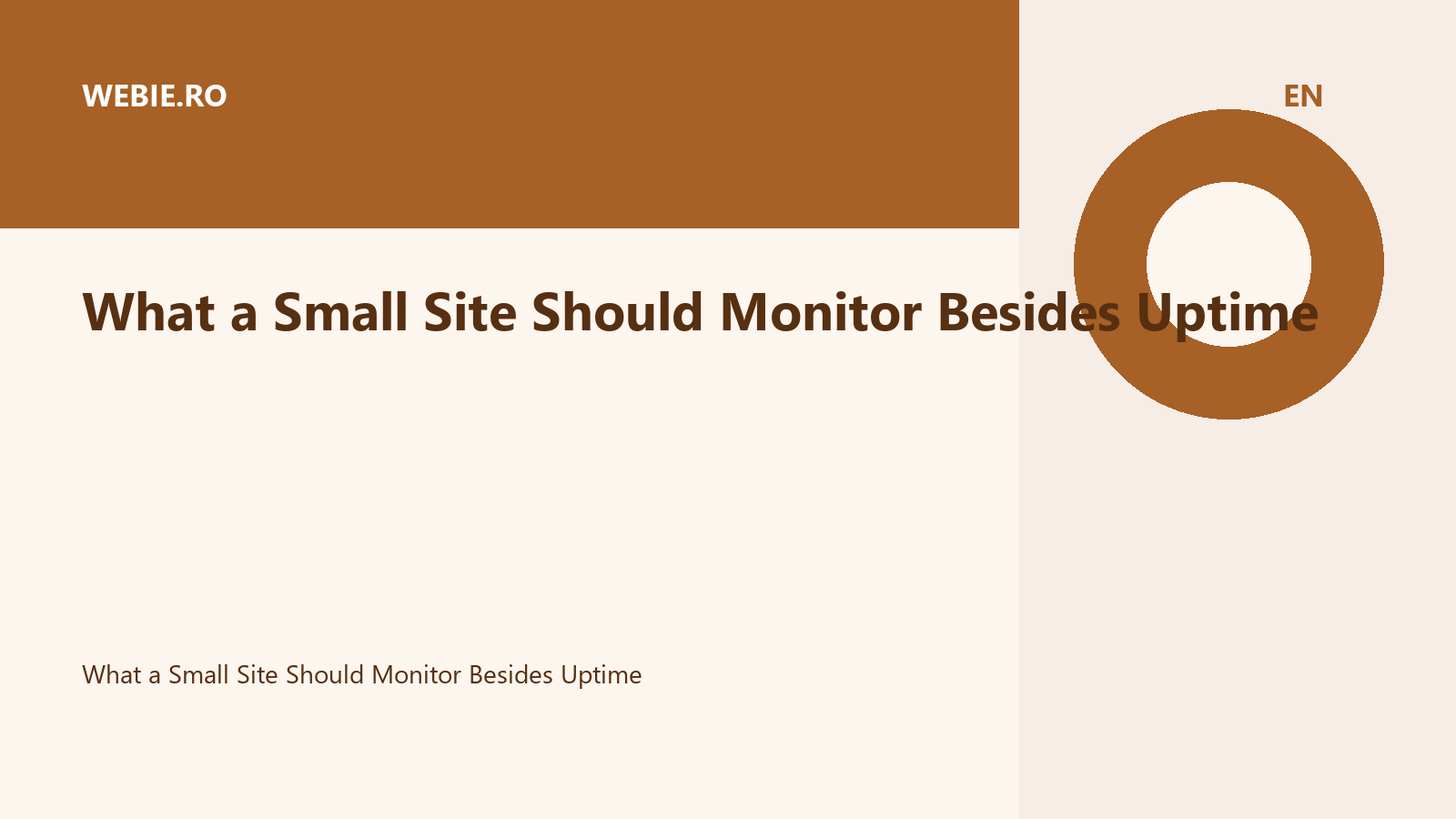 What a Small Site Should Monitor Besides Uptime