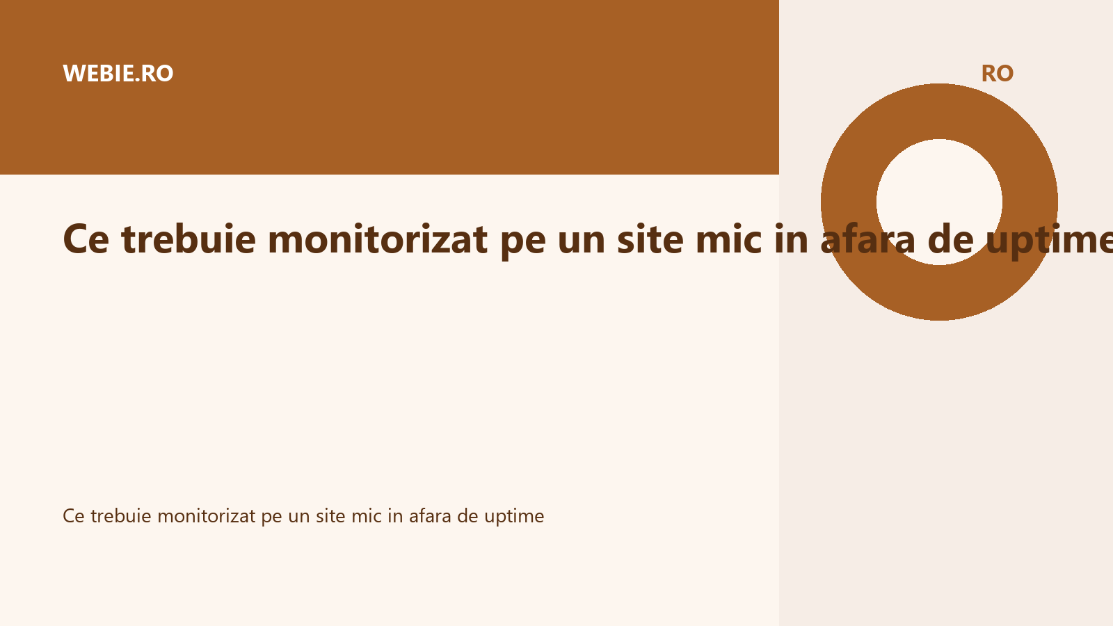 Ce trebuie monitorizat pe un site mic in afara de uptime